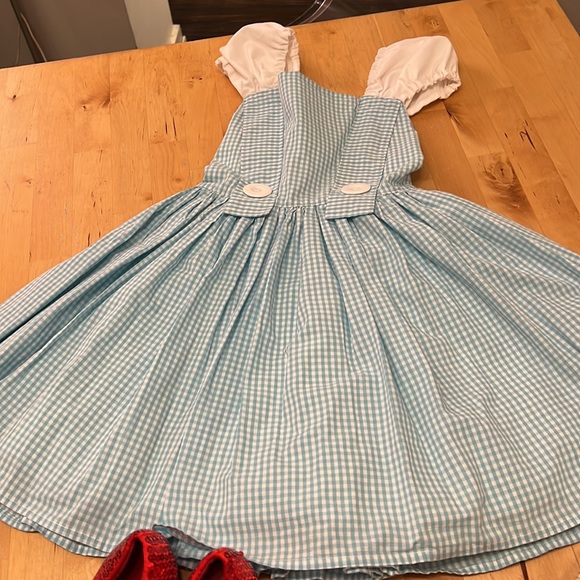 Dorothy from The Wizard of Oz - Full Costume Set - Toto and Ruby Slippers - Picture 2 of 14
